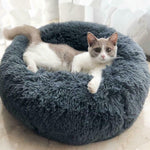 Cat lying on a fluffy blue pet bed in a bright room.