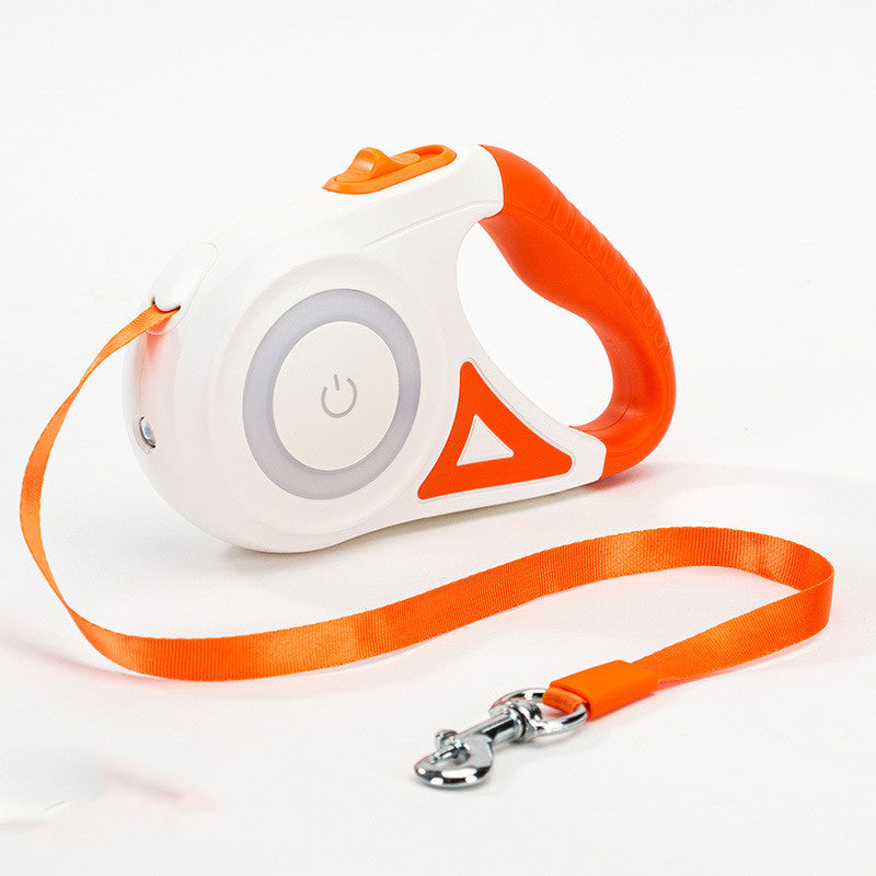 LED pet leash designed for nighttime dog walks