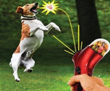 Interactive pet treat launcher toy for dogs and cats