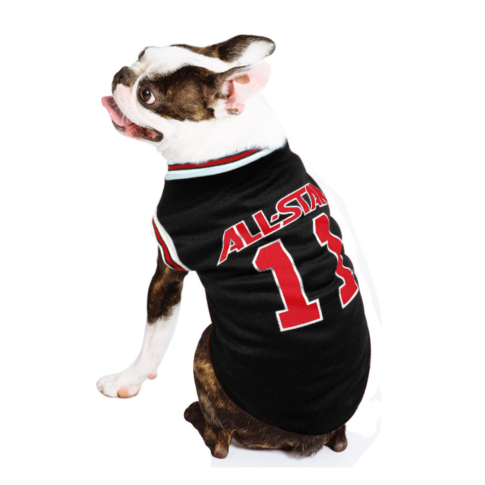 Stylish game day dog outfit for soccer fans