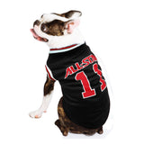 Stylish game day dog outfit for soccer fans